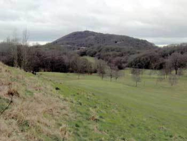 Wrekin celebrates its Centenary