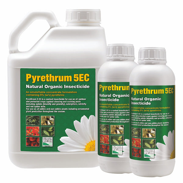 Pyrethrum 5EC Insecticide - Professional Use Only