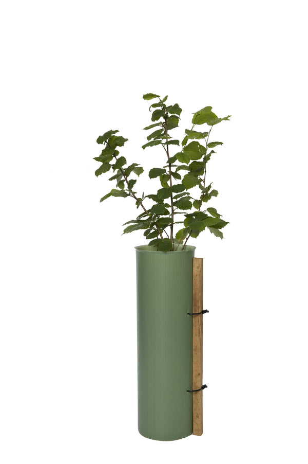 Tubex Standard - Tube Shelter for Shrubs Nest of 4